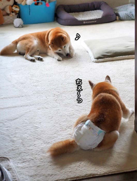 28日ブログ１１