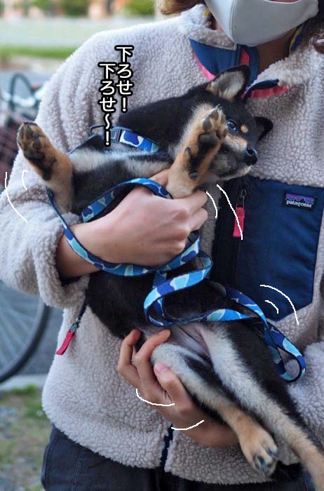 29日午後ブログ６