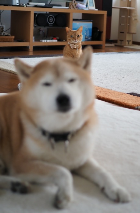 23日ブログ２