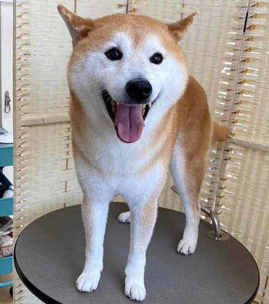 4日ブログ７