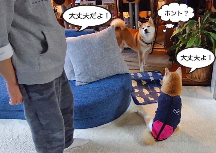 11日ブログ５