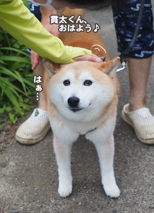 13日ブログ６