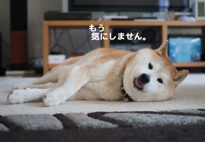 25日夕ブログ7