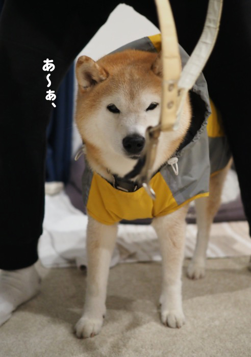 27日ブログ３