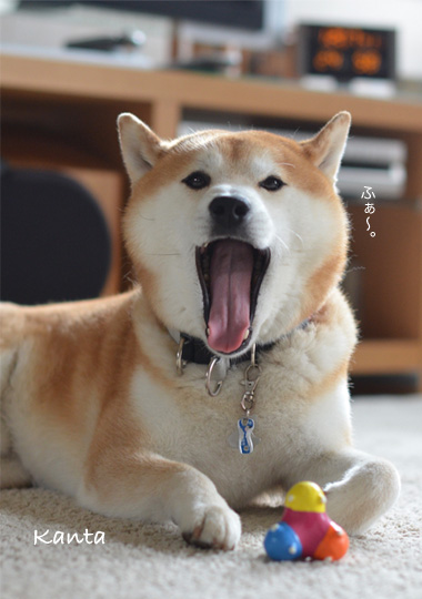 22日ブログ9.jpg