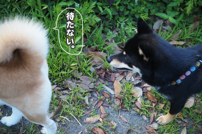 28日夜ブログ7