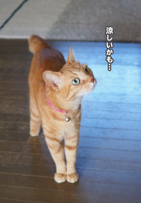 27日夜ブログ２