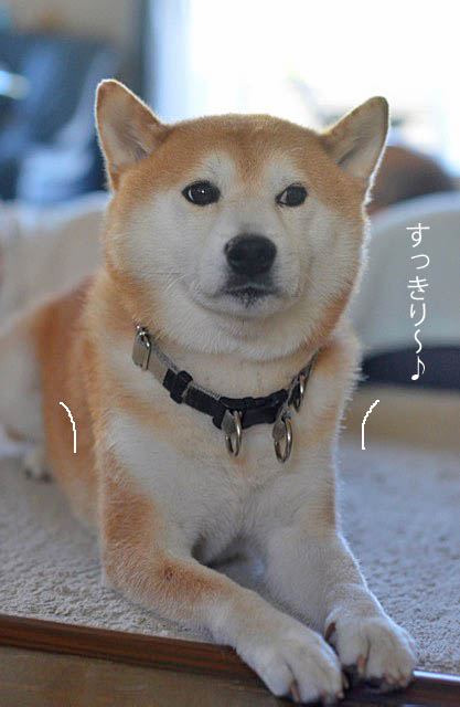 14日ブログ2