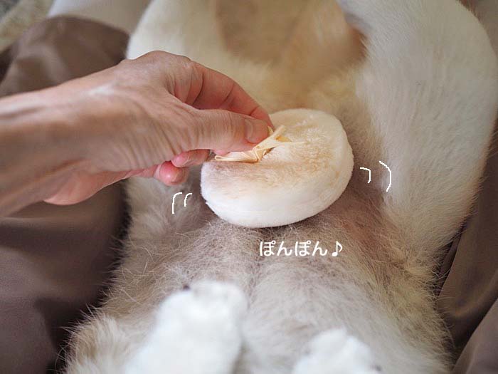 30日ブログ４