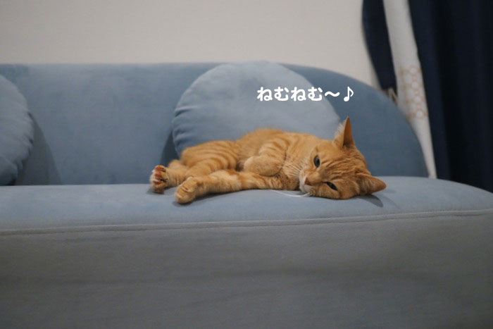 19日夜ブログ２