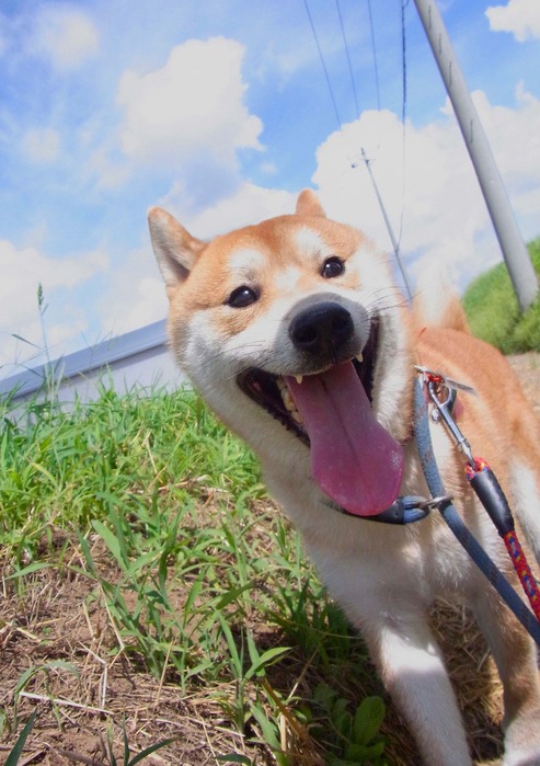 22日ブログ２