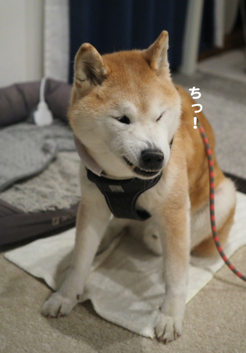 27日夜ブログ４