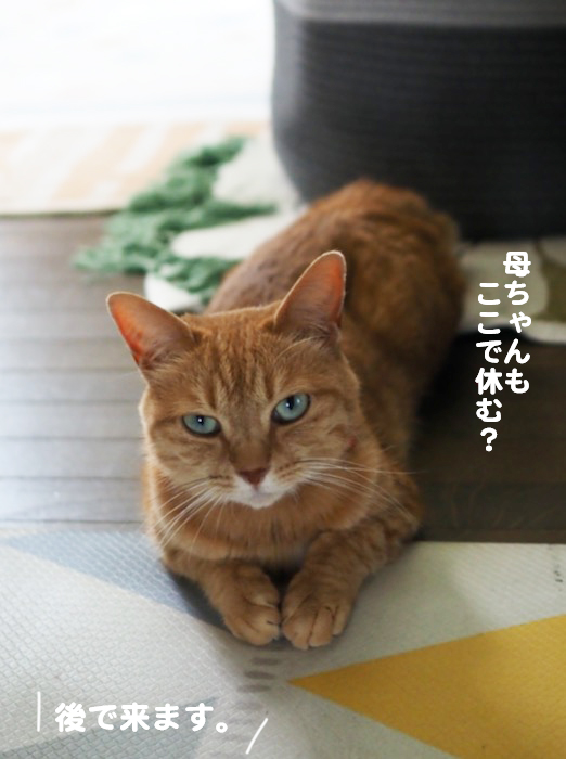 23日夕ブログ６