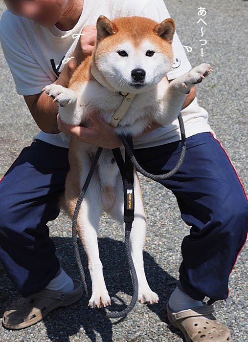 13日ブログ14