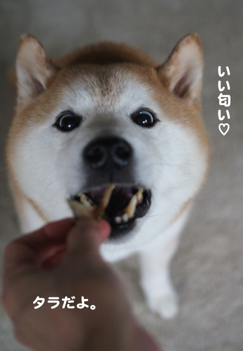 15日夕ブログ６