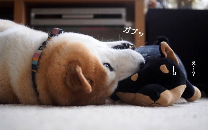 21日ブログ５