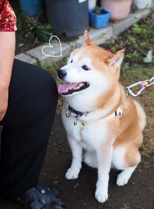 7日ブログ２