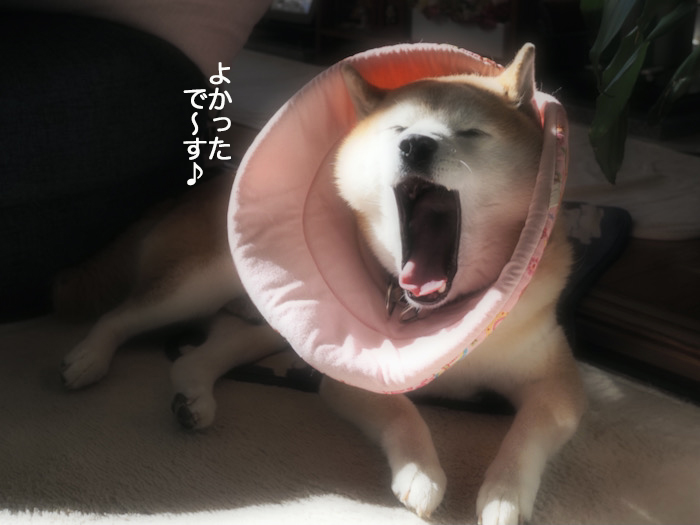 21日夜ブログ４