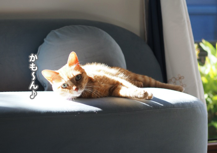 28日夕ブログ３