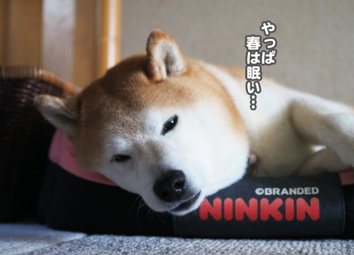 28日夜ブログ4