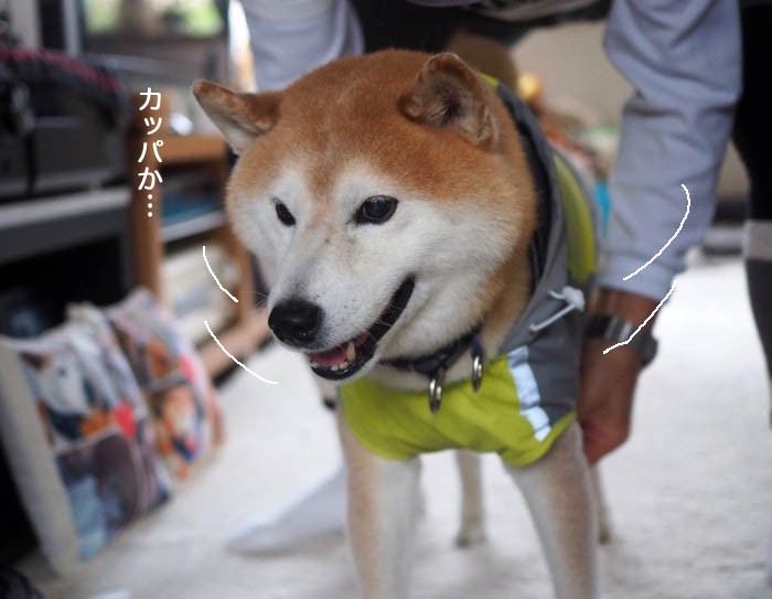 5日夕ブログ２