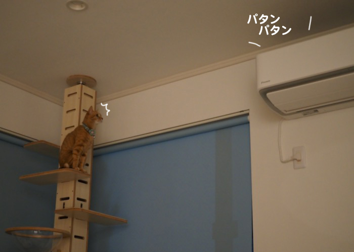 11日夜ブログ６