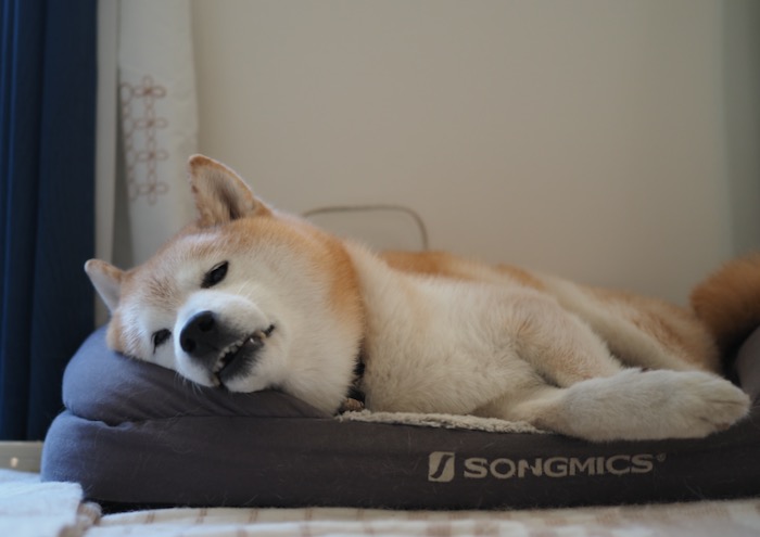 17日ブログ１