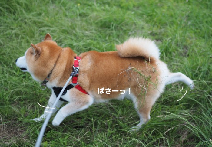17日夜ブログ８