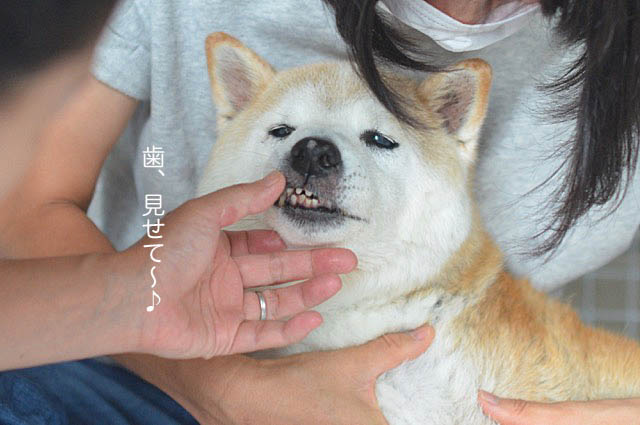 22日ブログ11