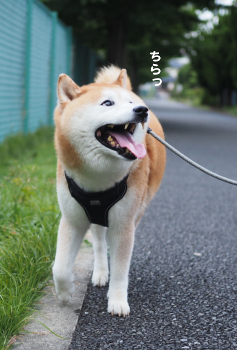 4日ブログ４