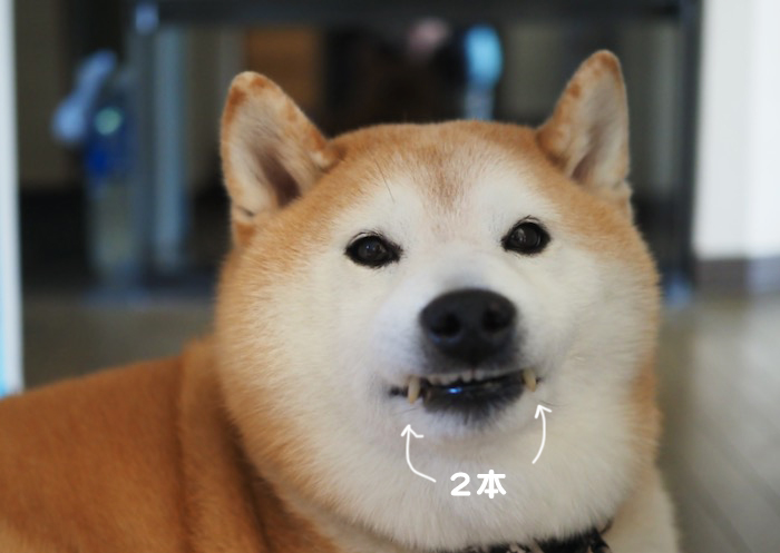20日夕ブログ３