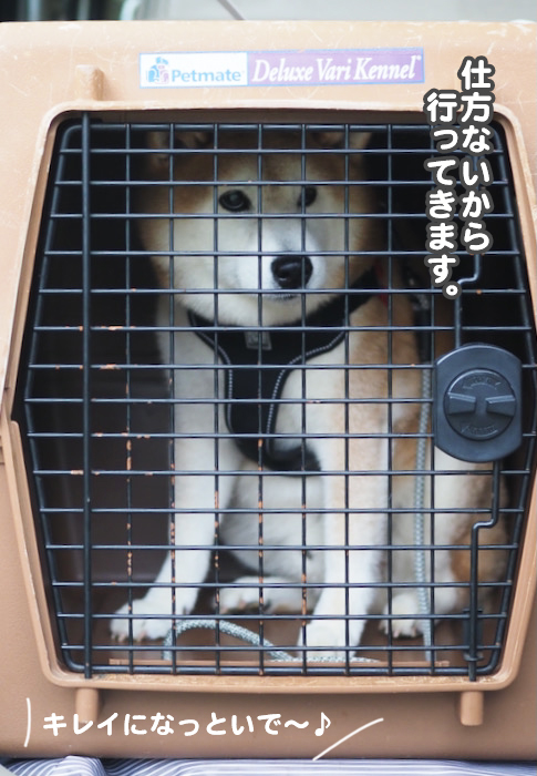 6日ブログ４