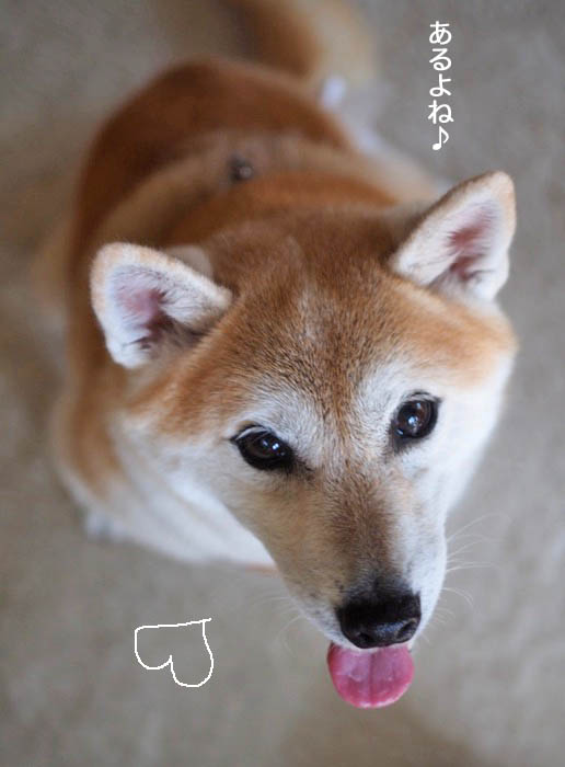 27日午後ブログ５