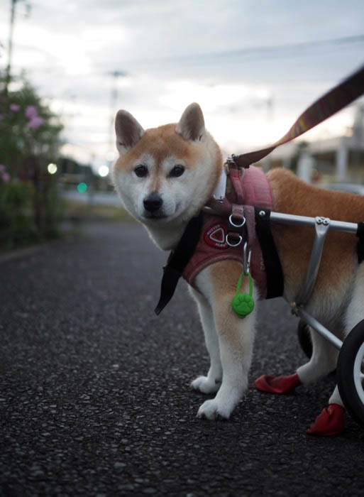 12日ブログ３