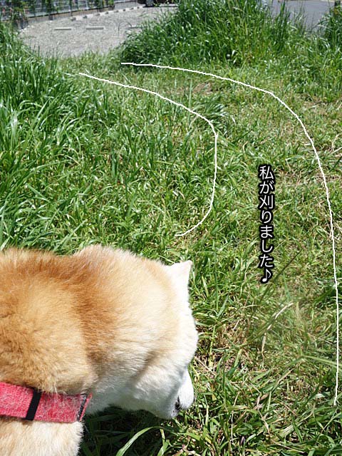 22日ブログ5