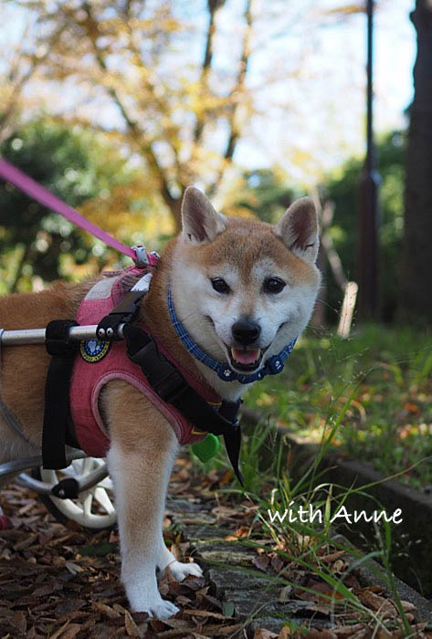 23日午前ブログ２