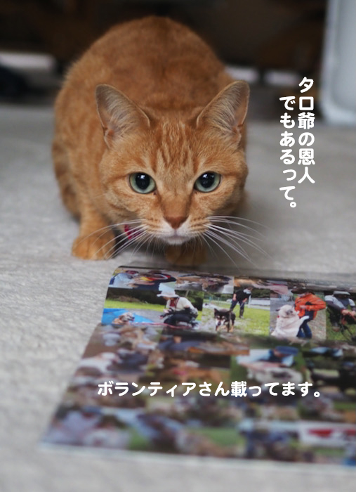 15日夕ブログ10