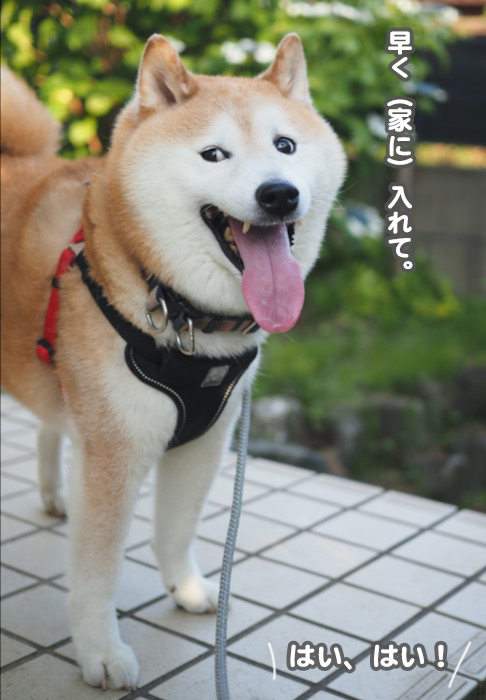 29日夜ブログ６