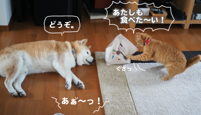 18日ブログ２