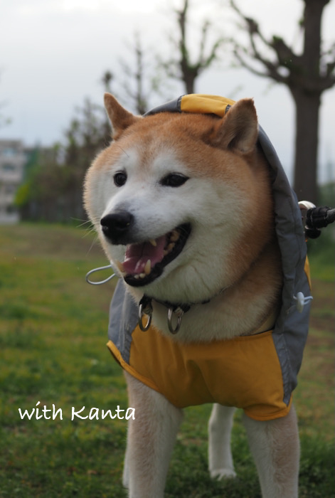 18日ブログ１