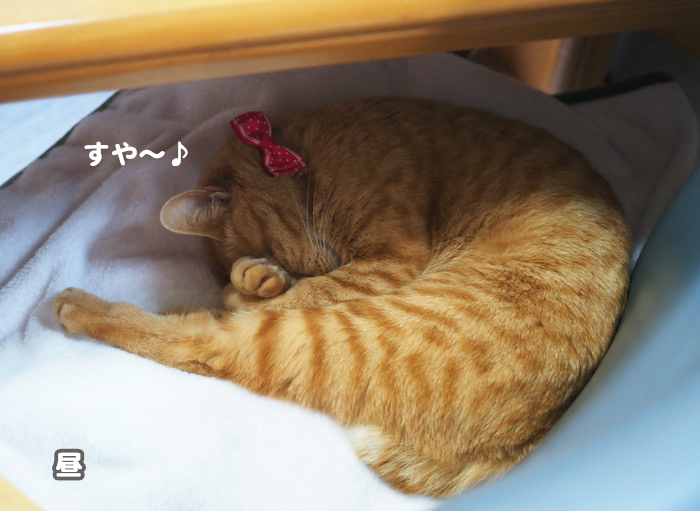 ５日ブログ１