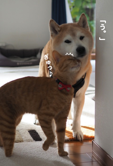 15日夕ブログ９