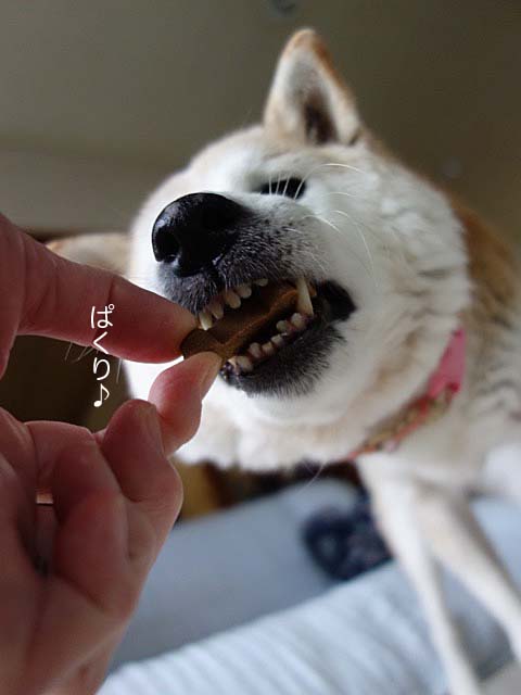 30日先ブログ4