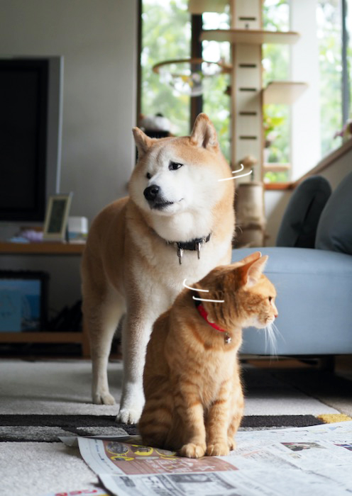 3日ブログ４