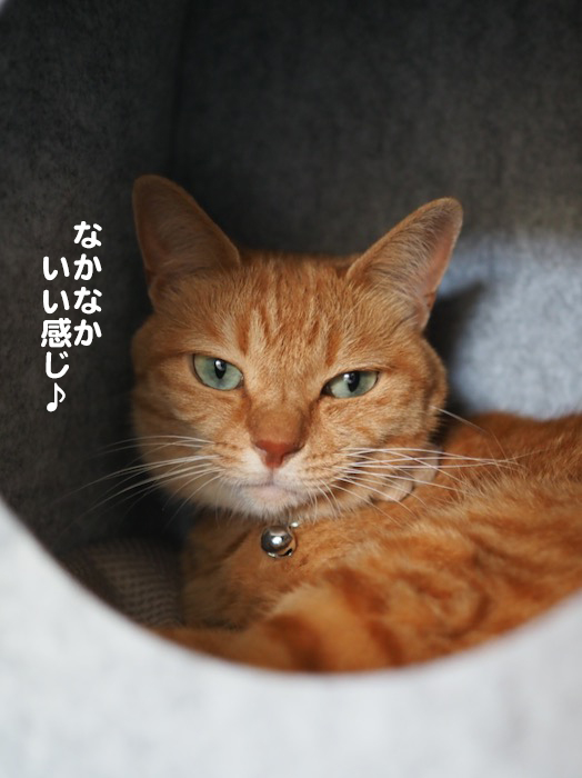 ３日夕ブログ１０