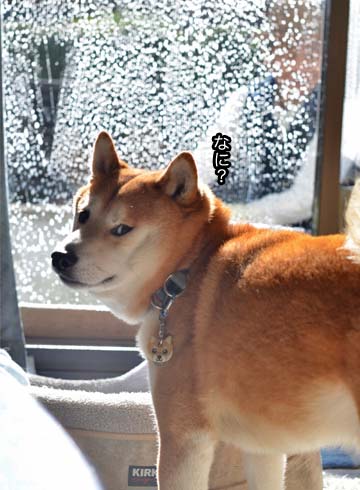 28日ブログ4.jpg