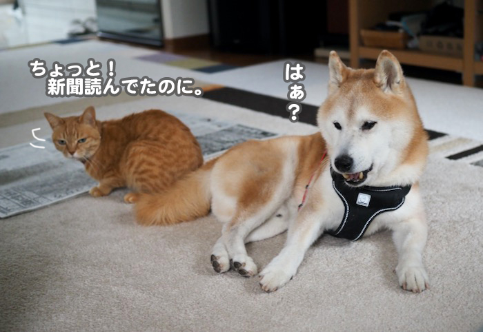 22日夜ブログ３