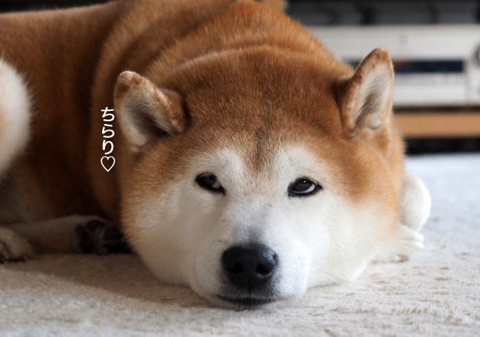 29日ブログ３