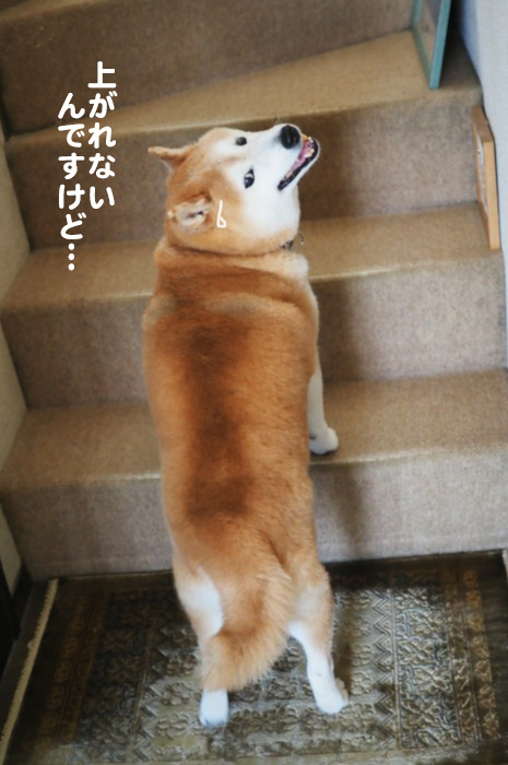 11日ブログ３