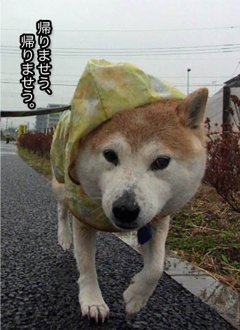 22日ブログ3.jpg